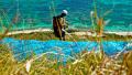 Paragliding in St Martin - the landing