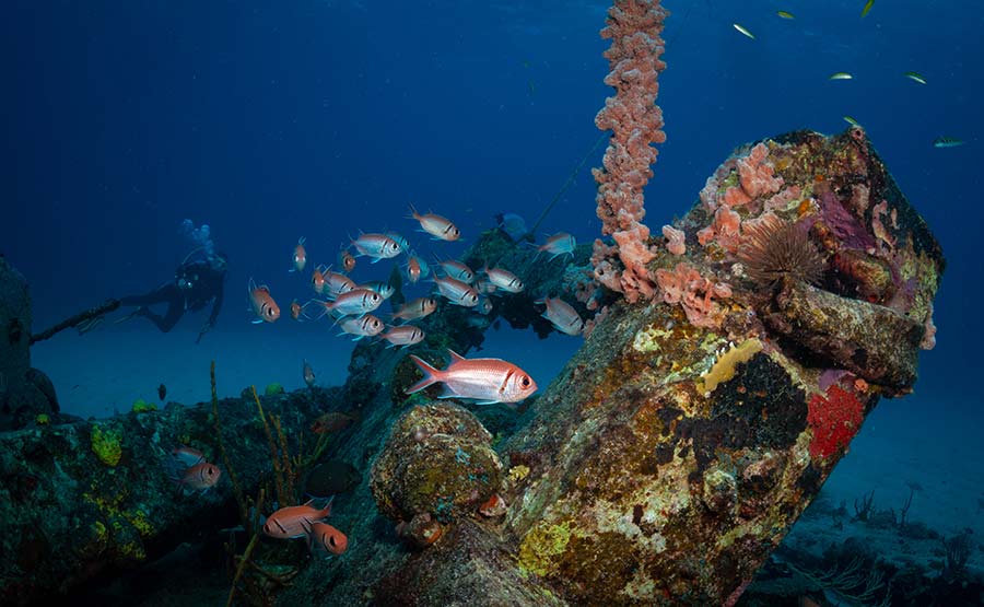 Plongée sous-marine à Saint-Martin
